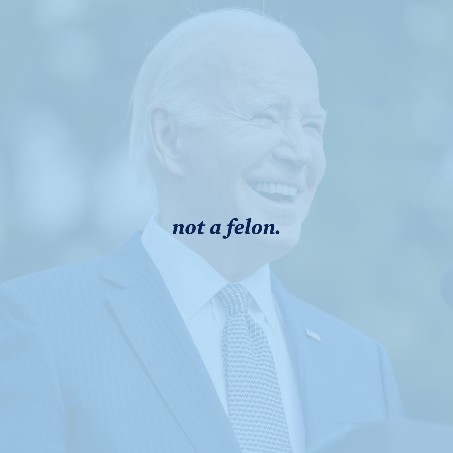 not_a_felon._1.png